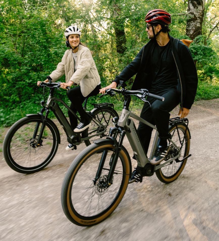 E-Trekking Bike