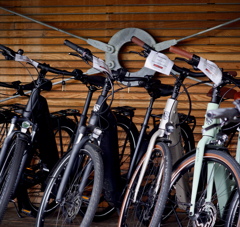 Bici nell'outlet