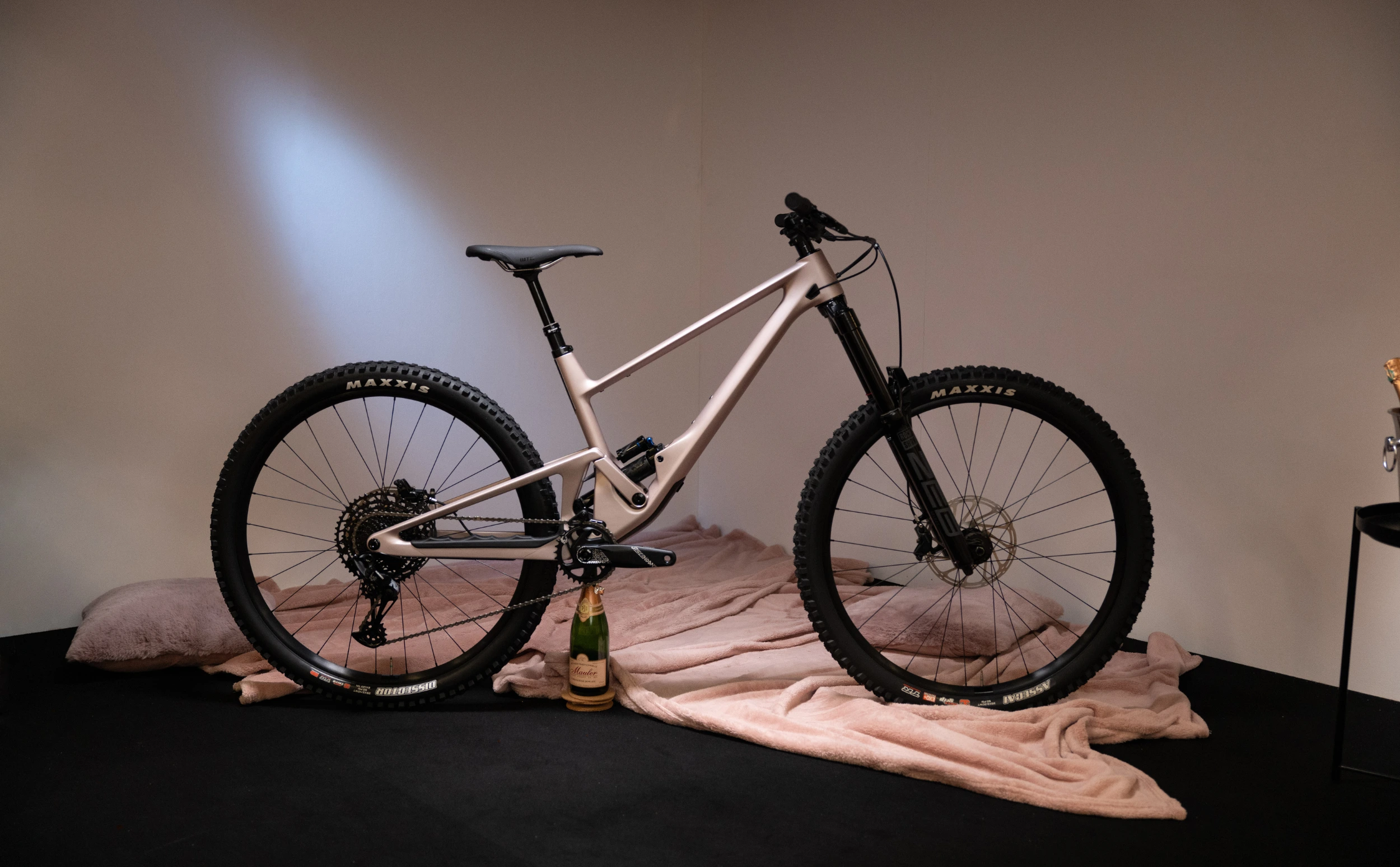 SCOR 4060 LT Powder Rose frameset Studio mit Champagner